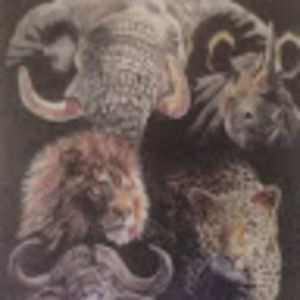 Meet your Posher, Wakeisha